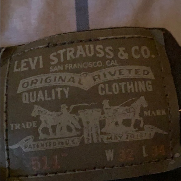 Levi - Picture 3 of 6